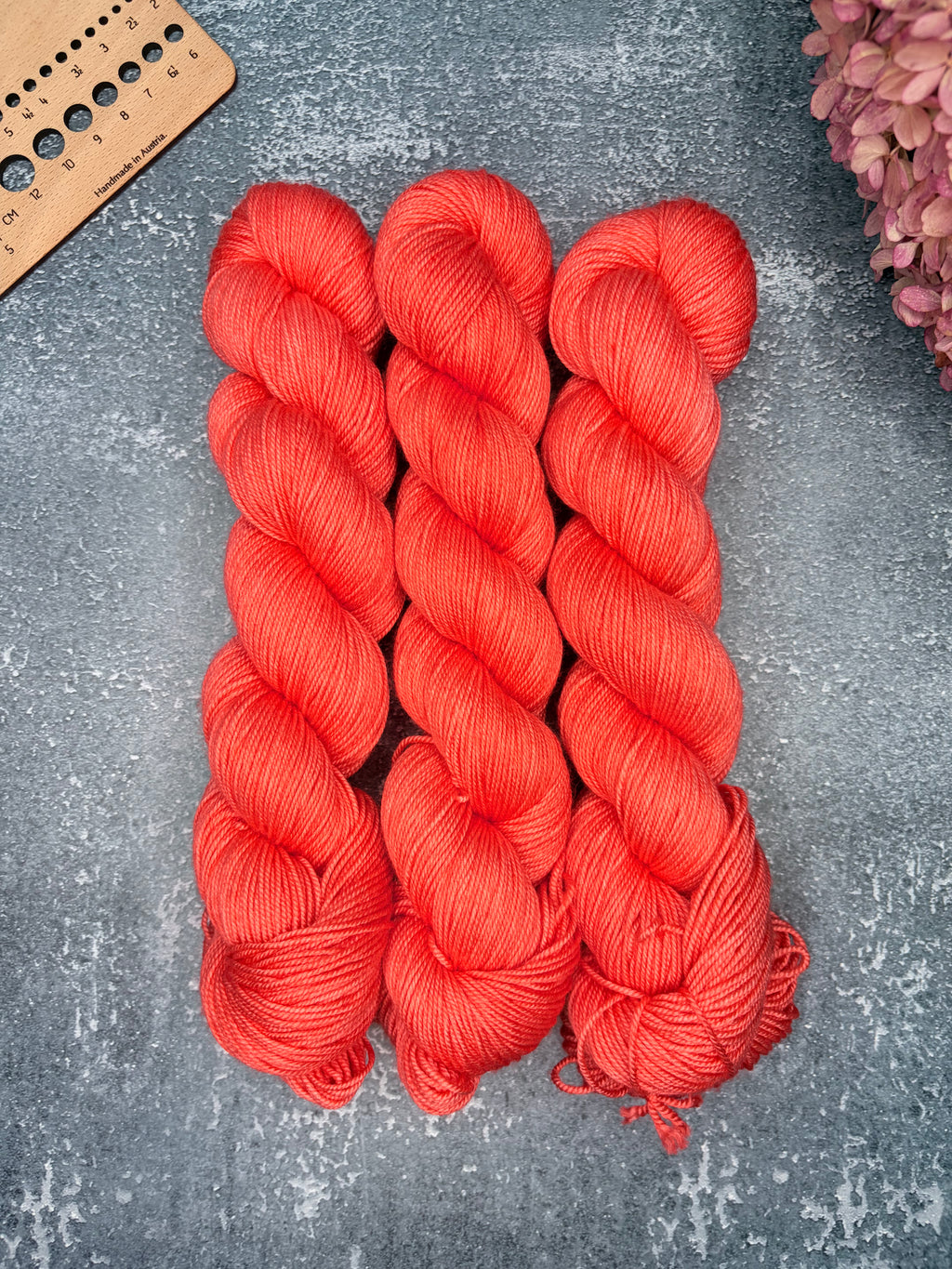 Coral 🪸