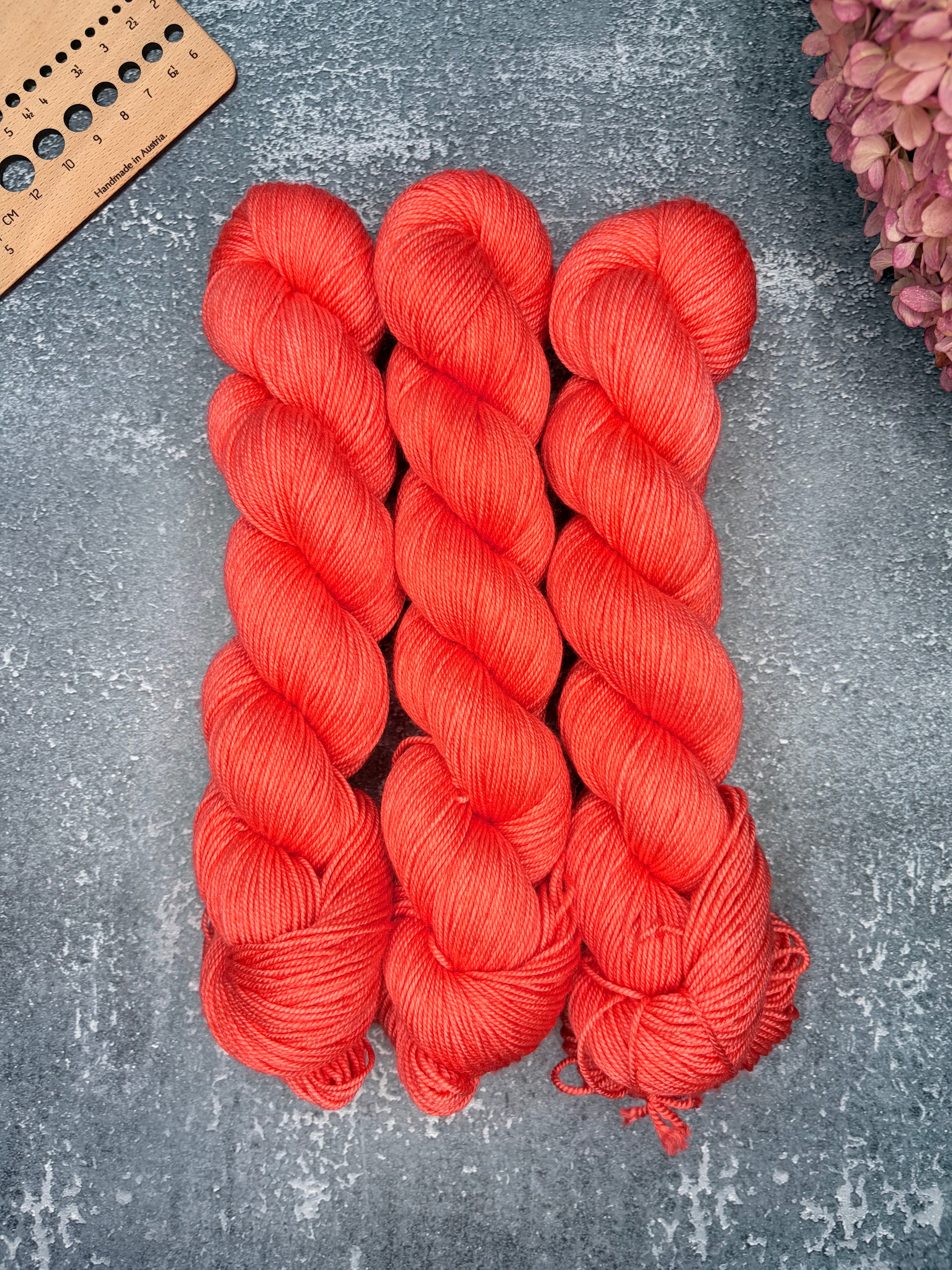 Coral 🪸